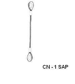 CANEL - 1 SAP